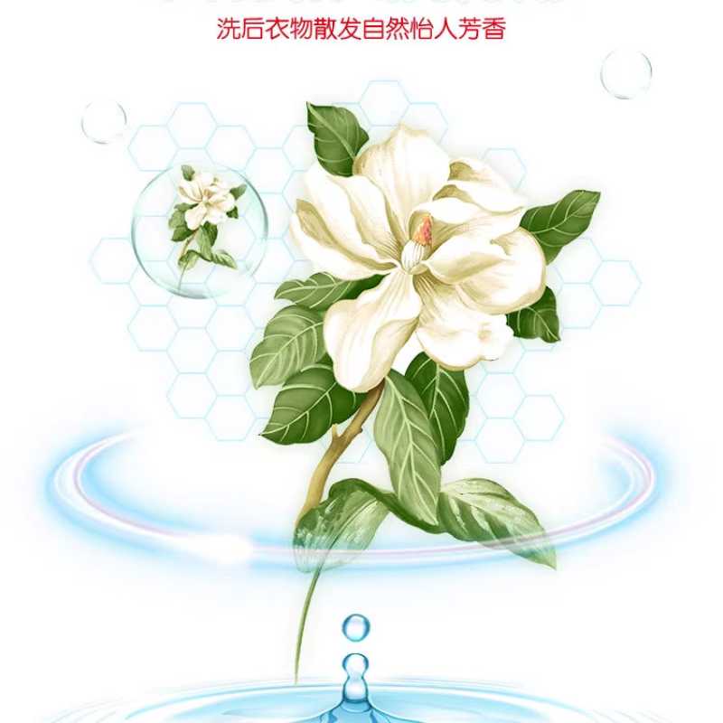 picture5